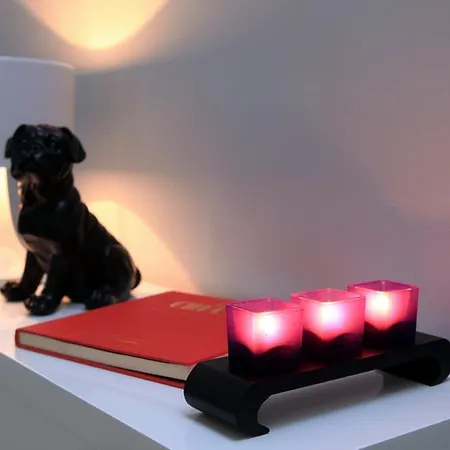 尼斯66号酒店 酒店 尼斯